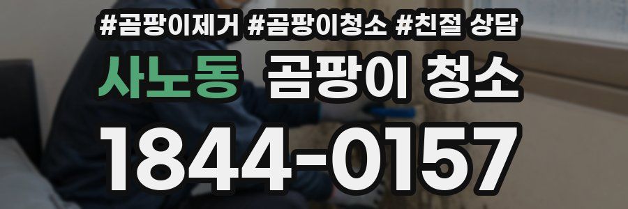 사노동 곰팡이 청소