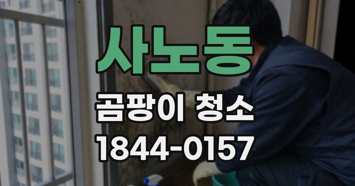 사노동 곰팡이 청소