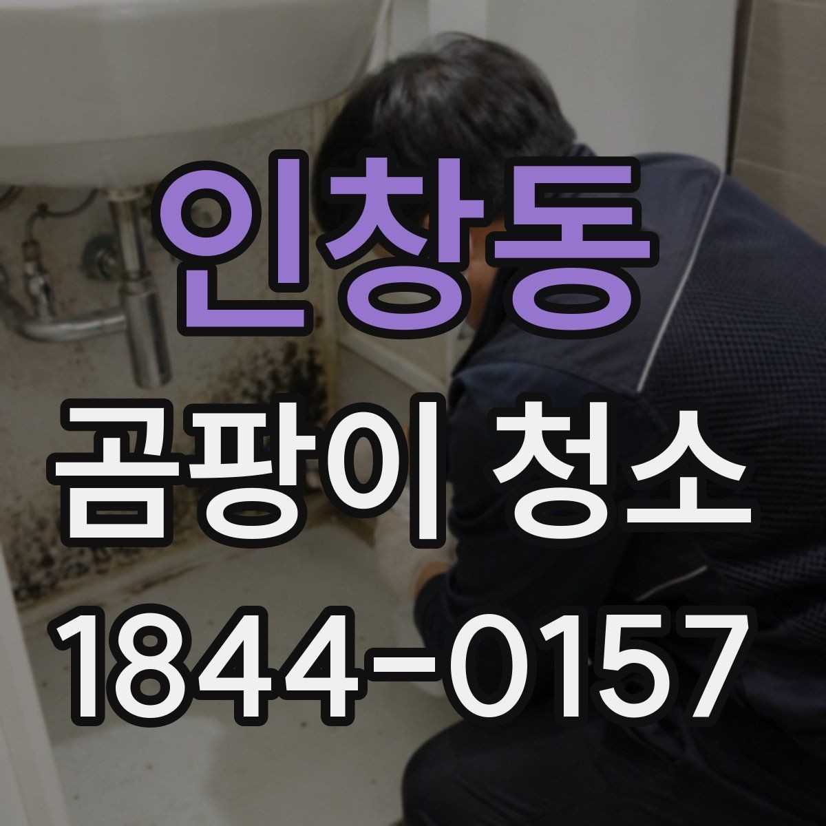 인창동 곰팡이 청소 비용과 진행 과정
