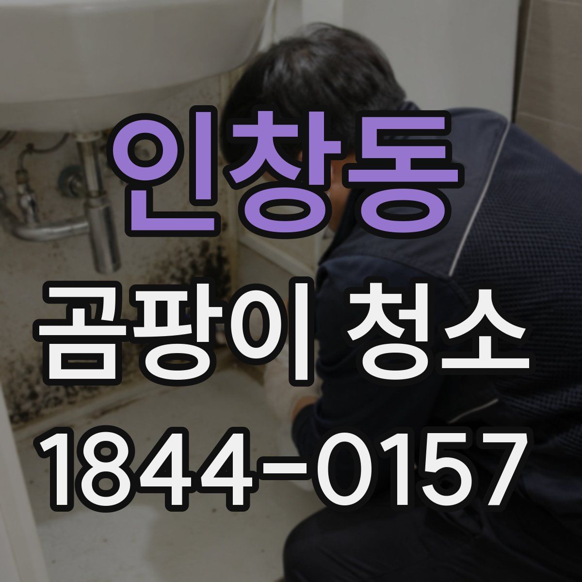 인창동 곰팡이 청소
