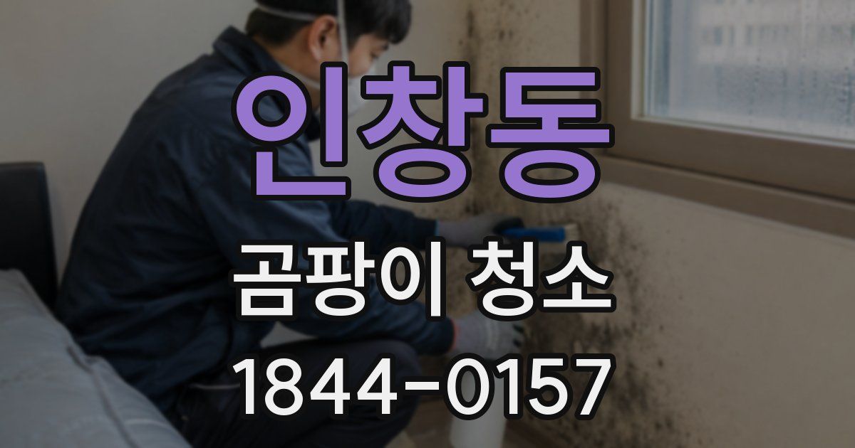 인창동 곰팡이 청소