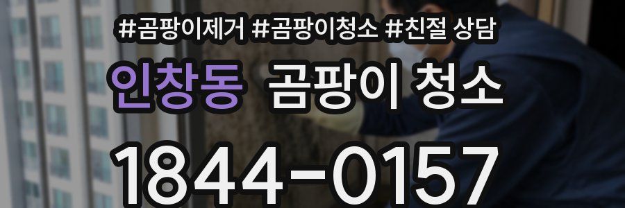 인창동 곰팡이 청소