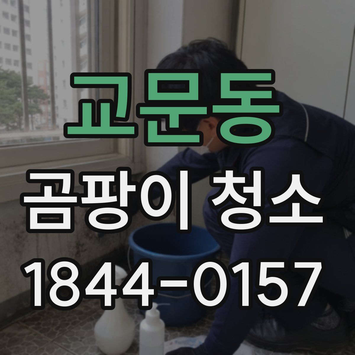 교문동 곰팡이 청소