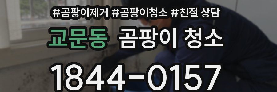 교문동 곰팡이 청소