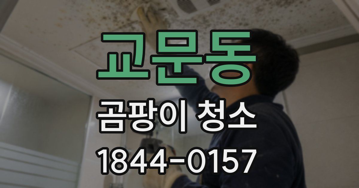 교문동 곰팡이 청소