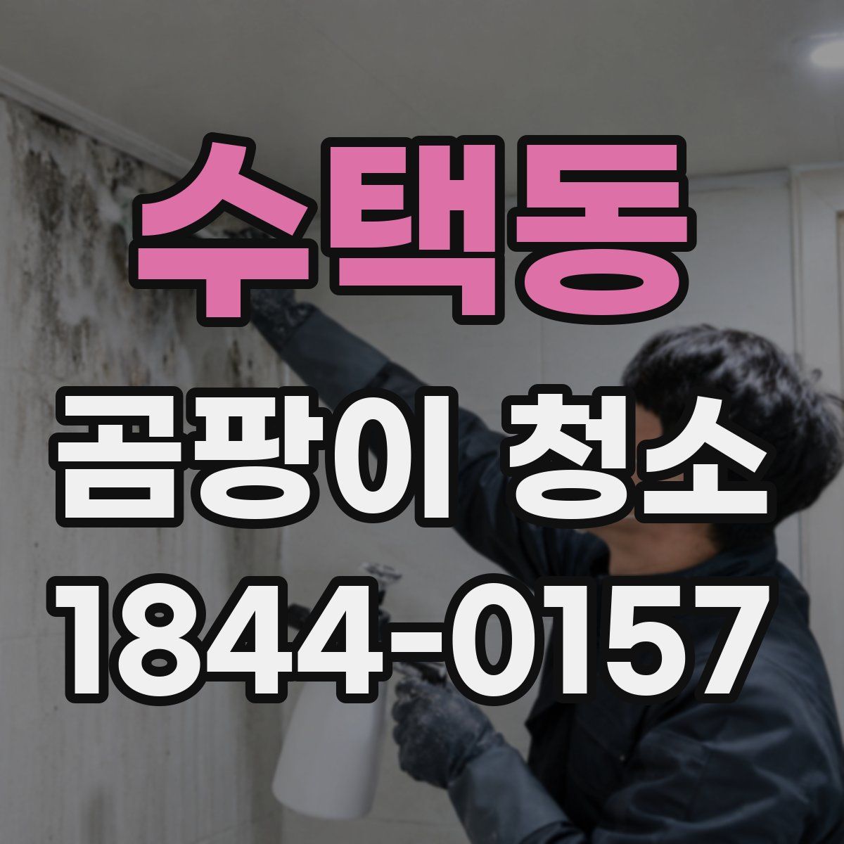 수택동 곰팡이 청소