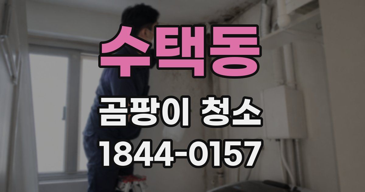 수택동 곰팡이 청소