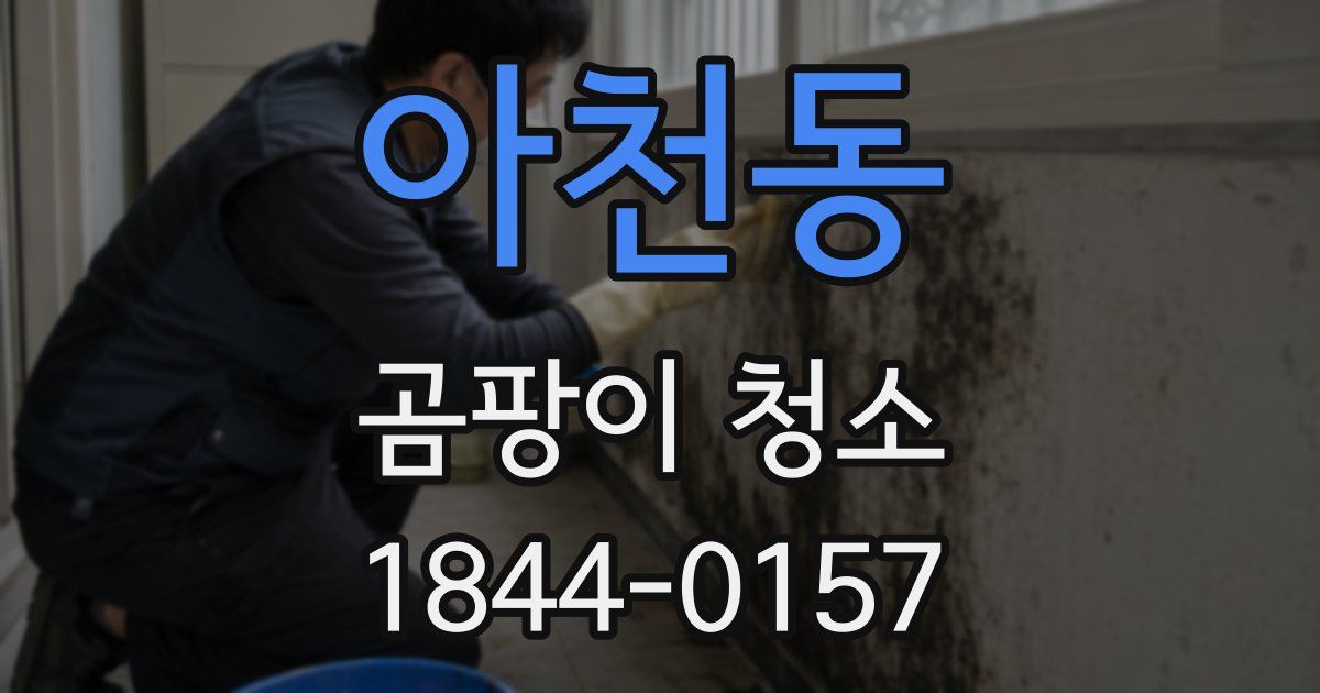 아천동 곰팡이 청소