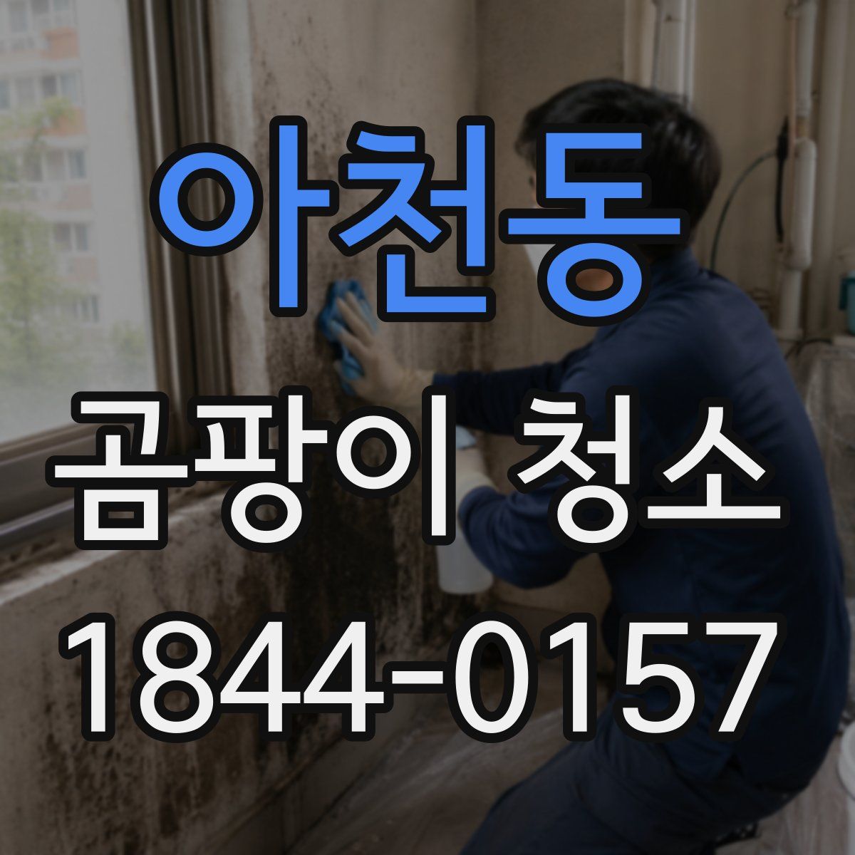 아천동 곰팡이 청소