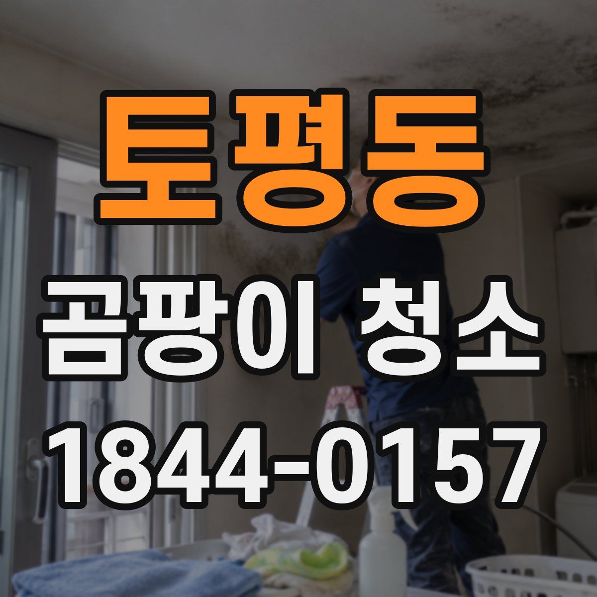 토평동 곰팡이 청소