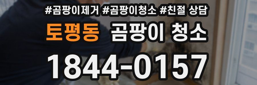 토평동 곰팡이 청소