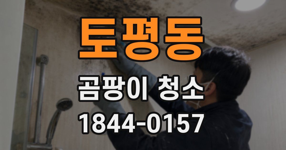 토평동 곰팡이 청소