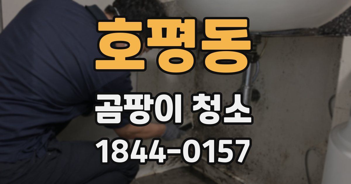 호평동 곰팡이 청소