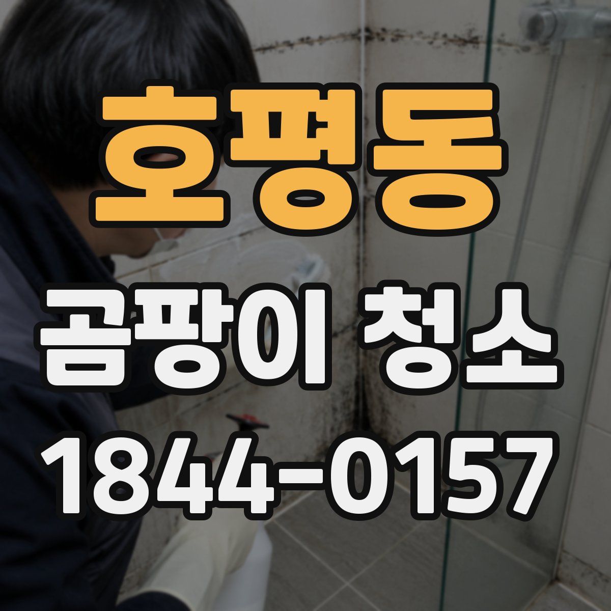 호평동 곰팡이 청소