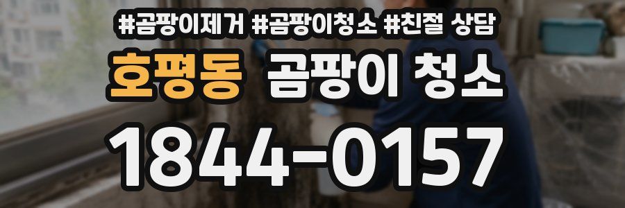 호평동 곰팡이 청소