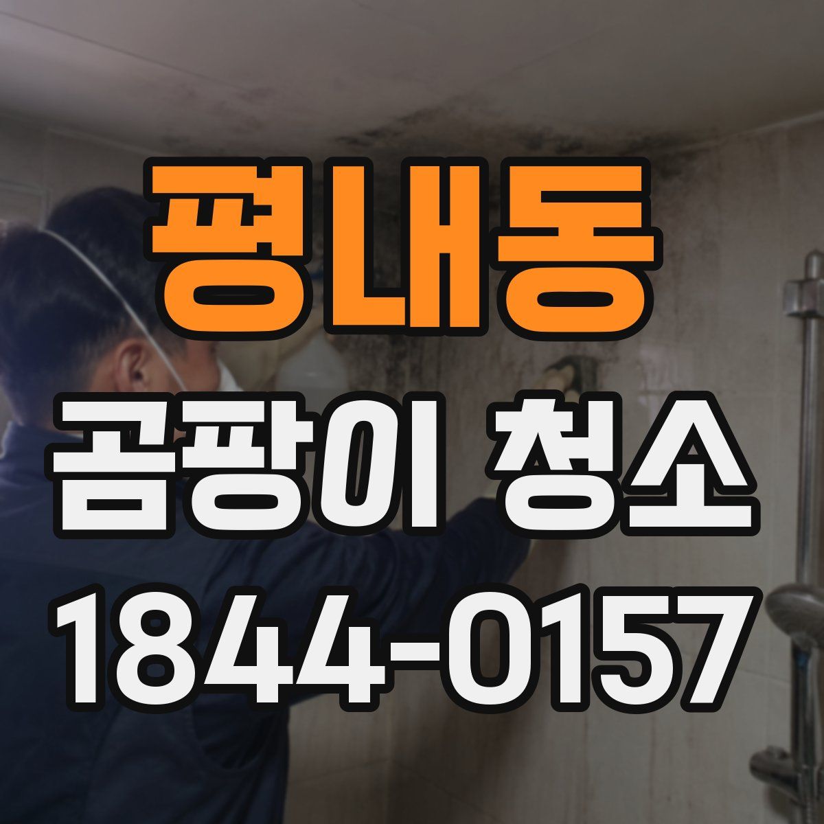 평내동 곰팡이 청소