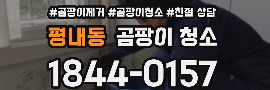 평내동 곰팡이 청소