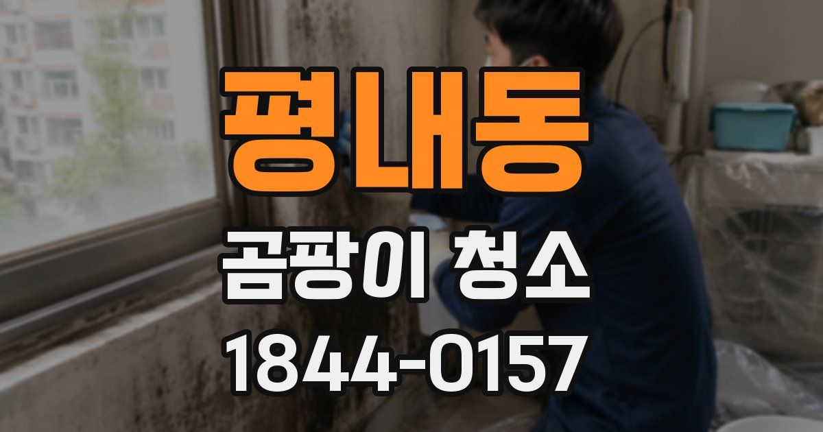 평내동 곰팡이 청소