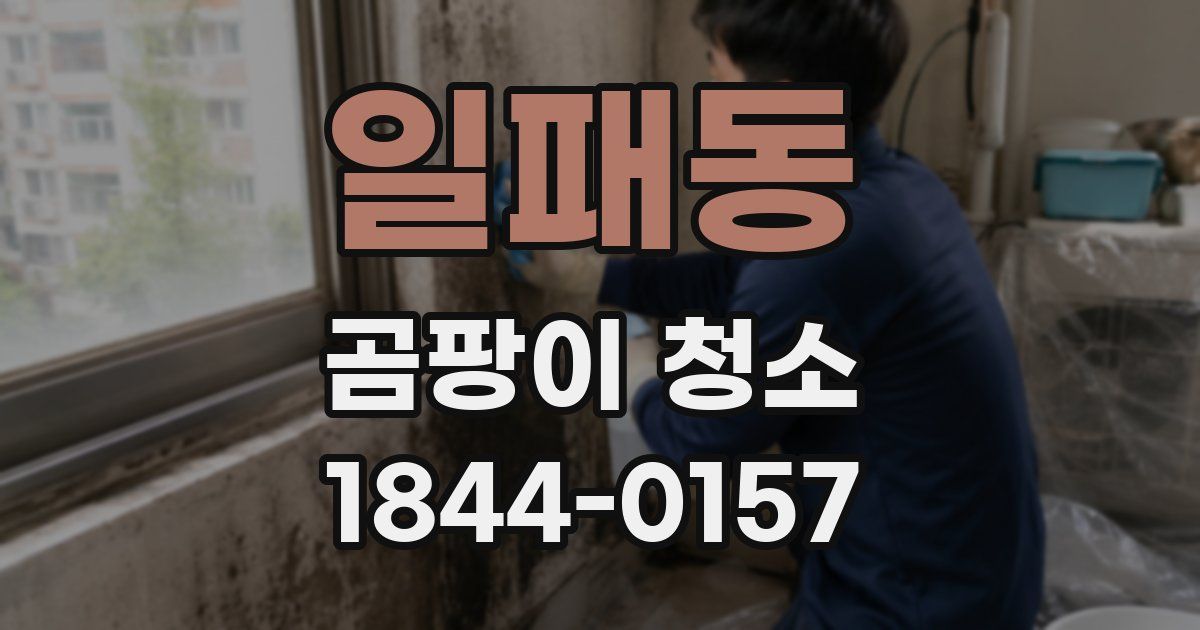일패동 곰팡이 청소