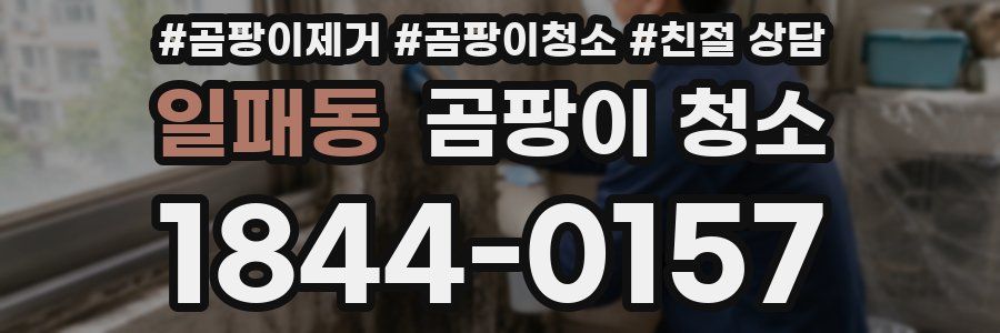 일패동 곰팡이 청소