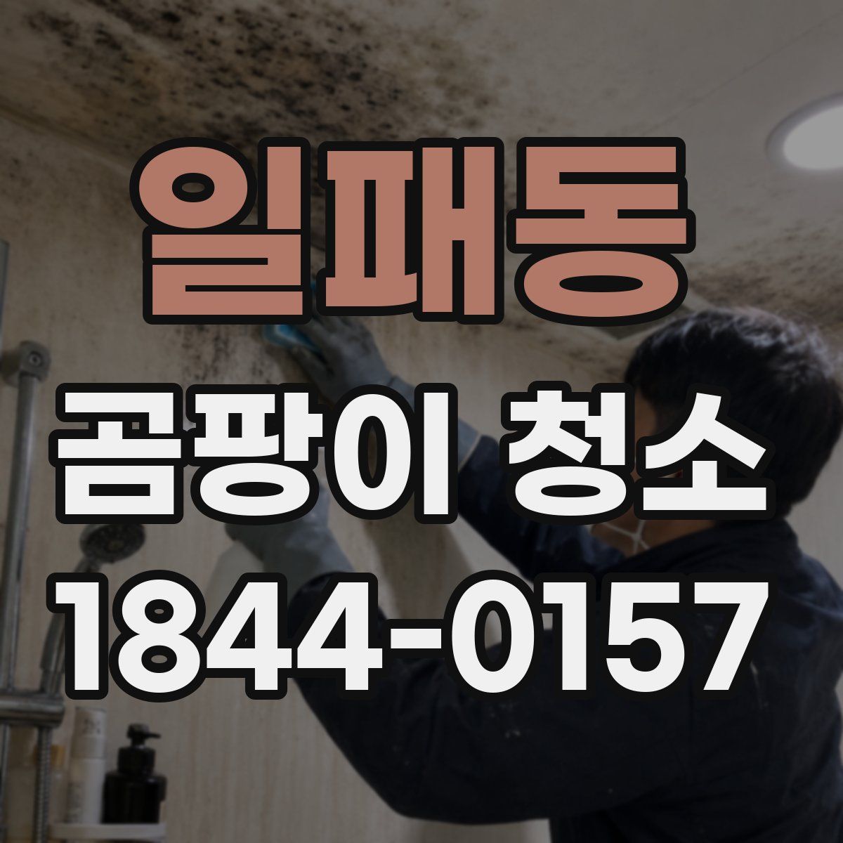 일패동 곰팡이 청소
