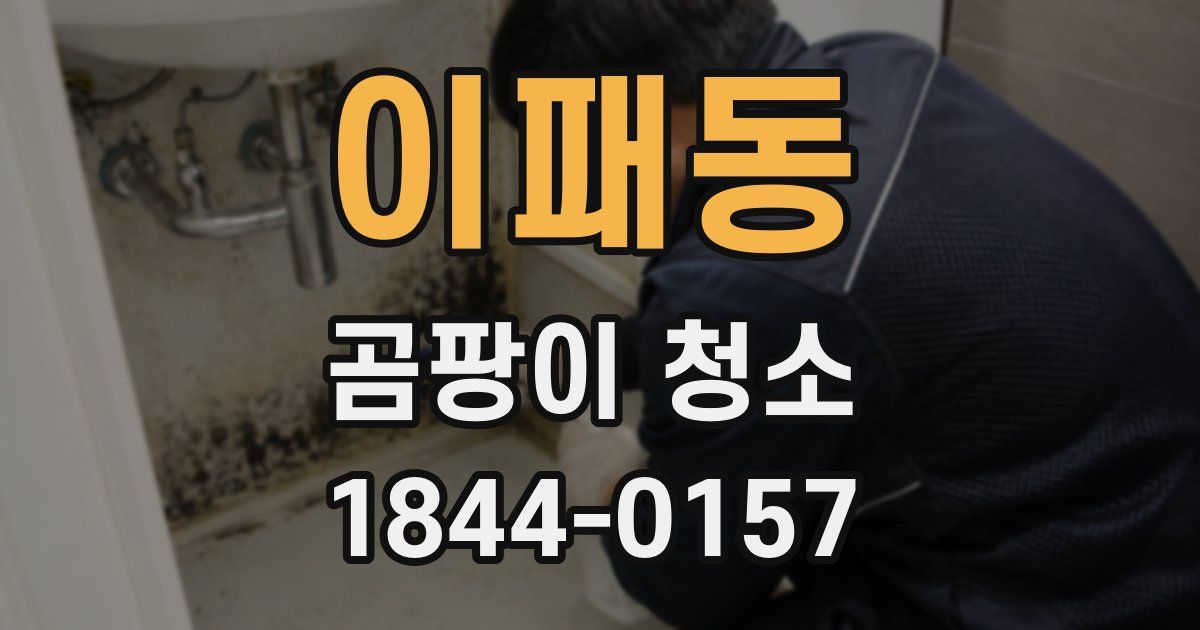 이패동 곰팡이 청소
