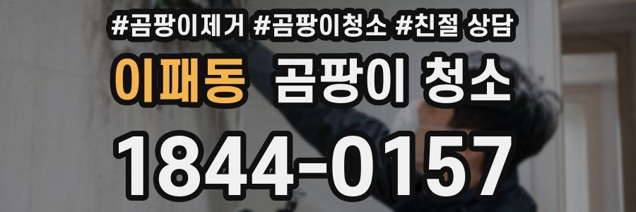 이패동 곰팡이 청소