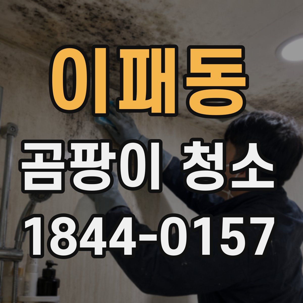 이패동 곰팡이 청소