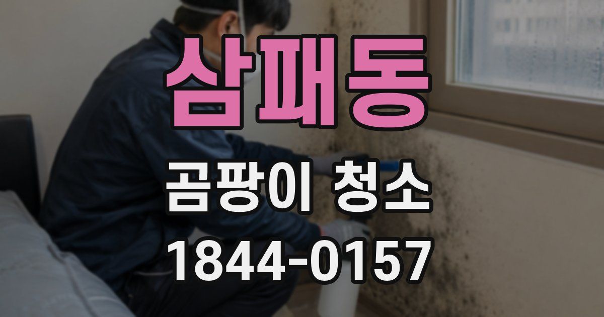 삼패동 곰팡이 청소
