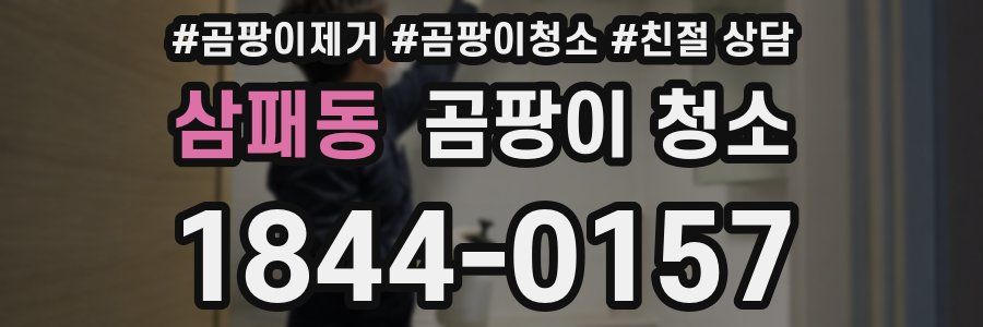 삼패동 곰팡이 청소