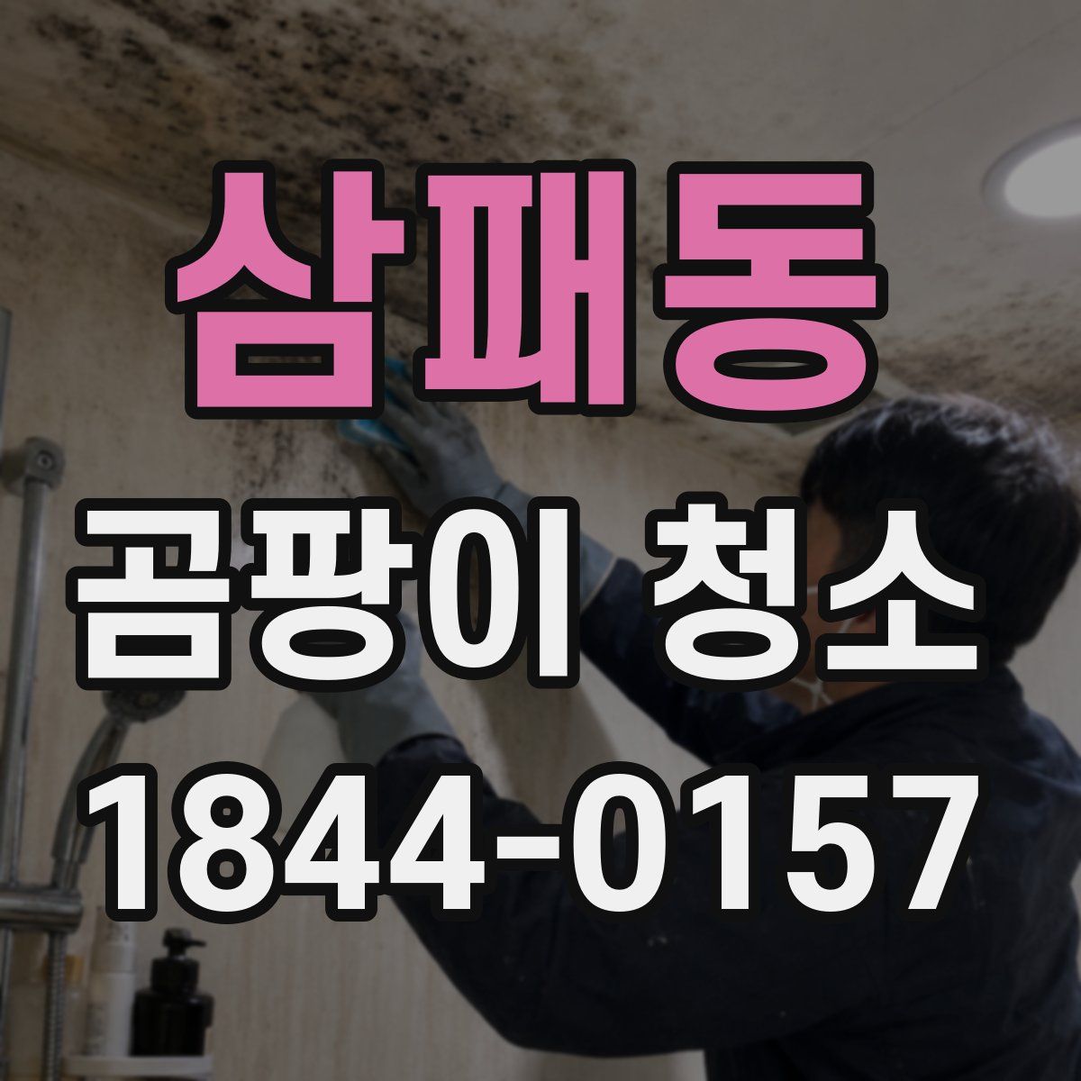 삼패동 곰팡이 청소