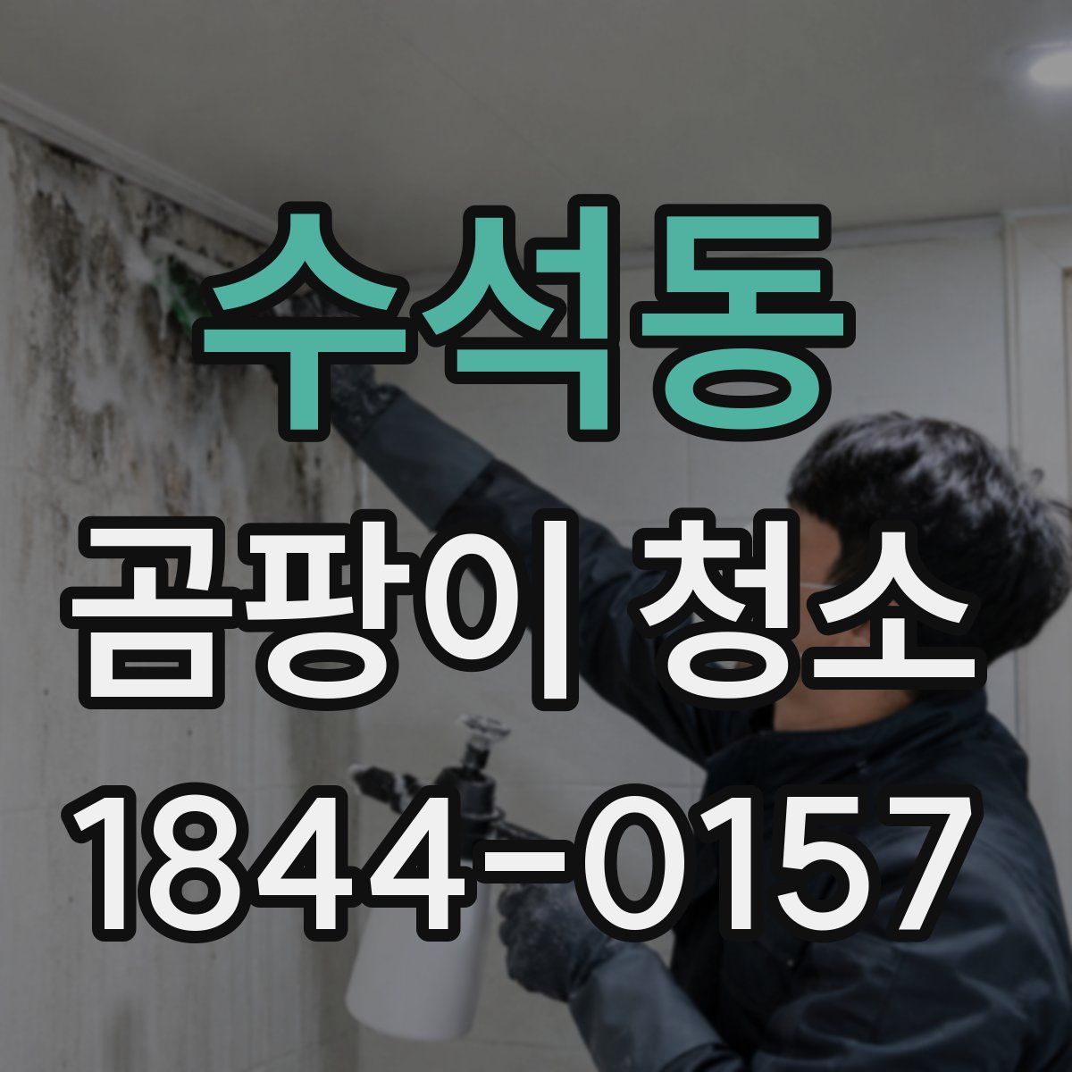수석동 곰팡이 청소