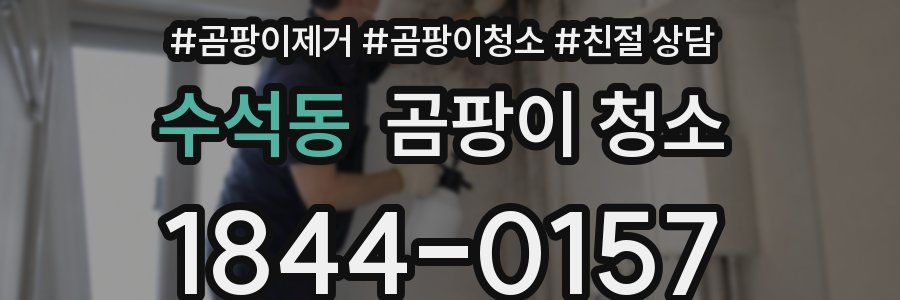수석동 곰팡이 청소