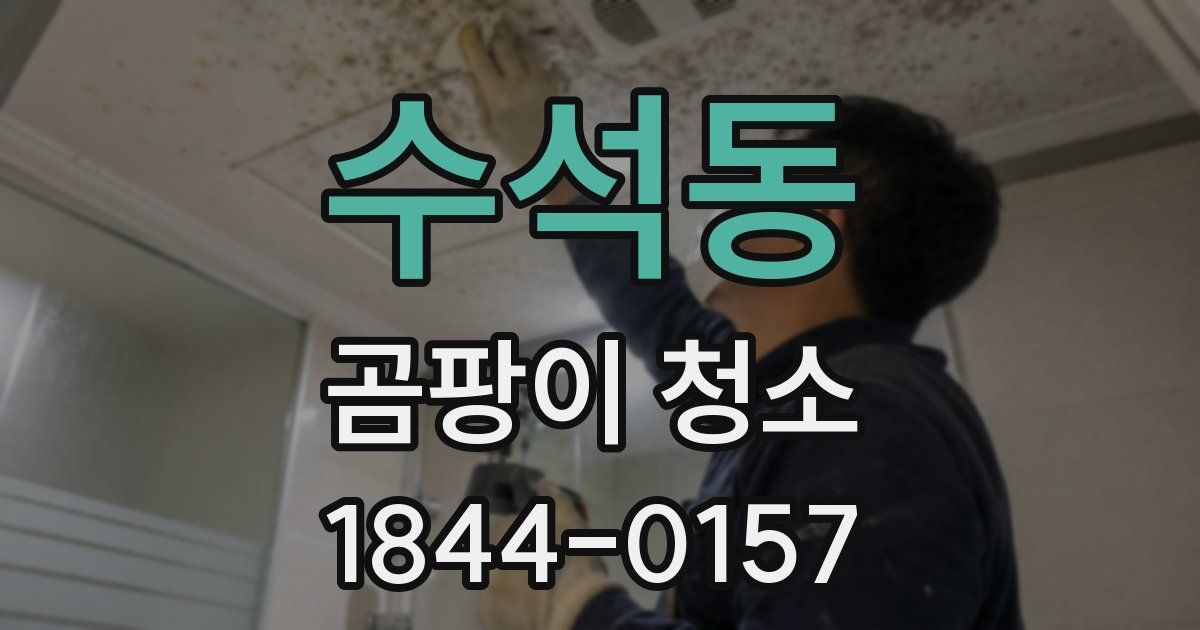 수석동 곰팡이 청소