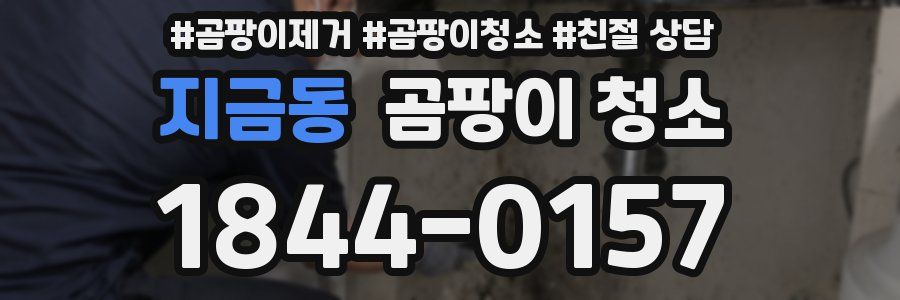 지금동 곰팡이 청소