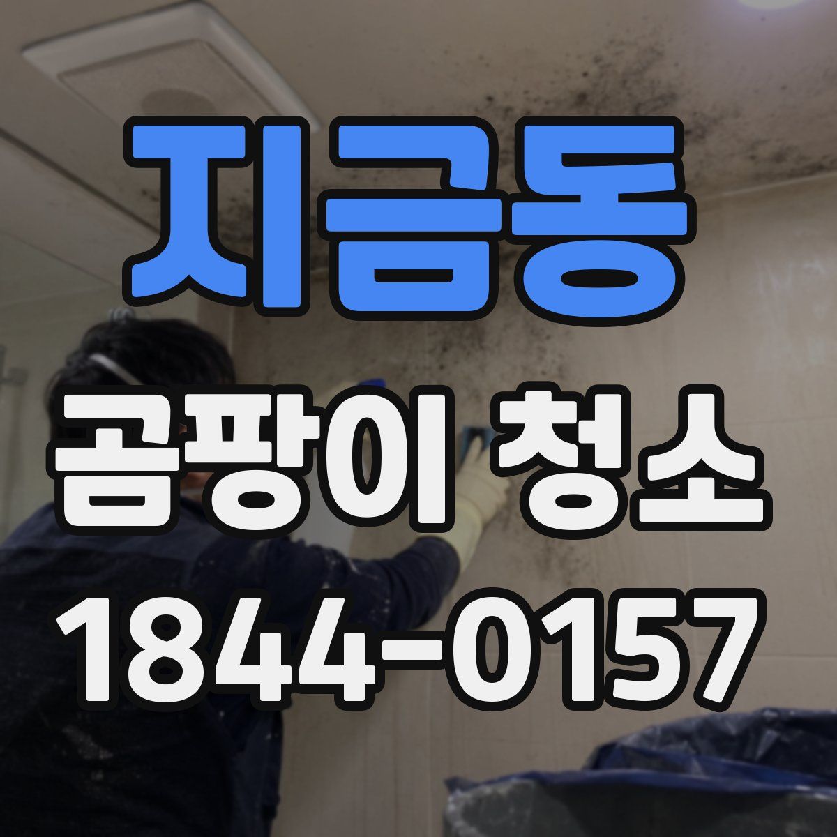 지금동 곰팡이 청소