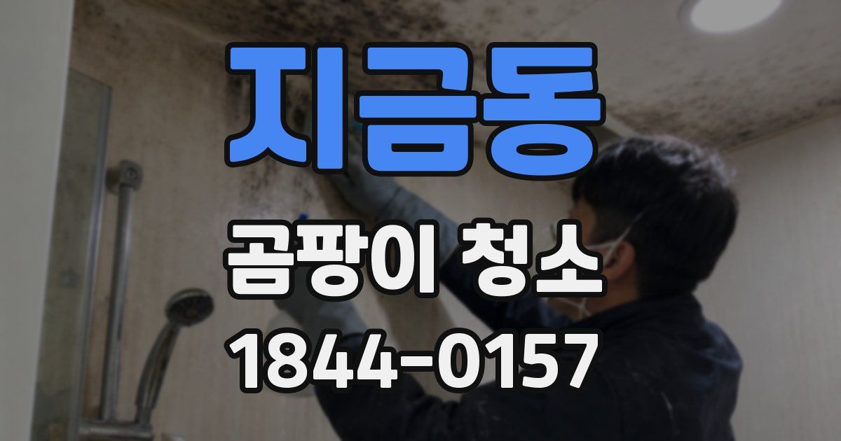 지금동 곰팡이 청소