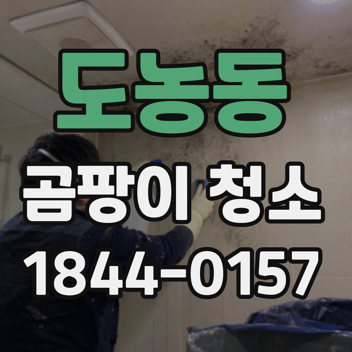 도농동 곰팡이 청소