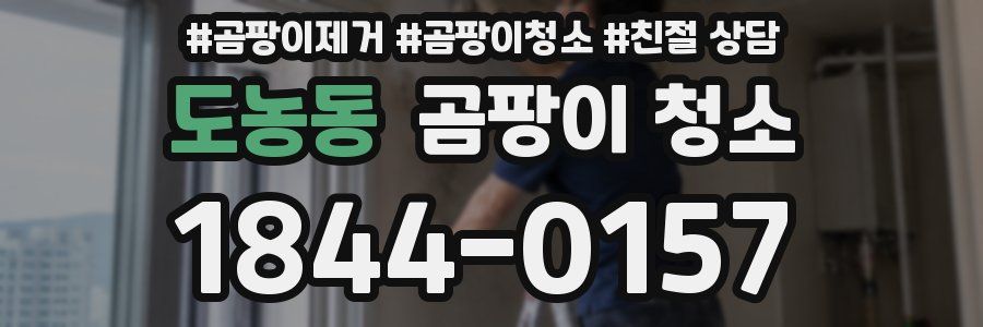 도농동 곰팡이 청소