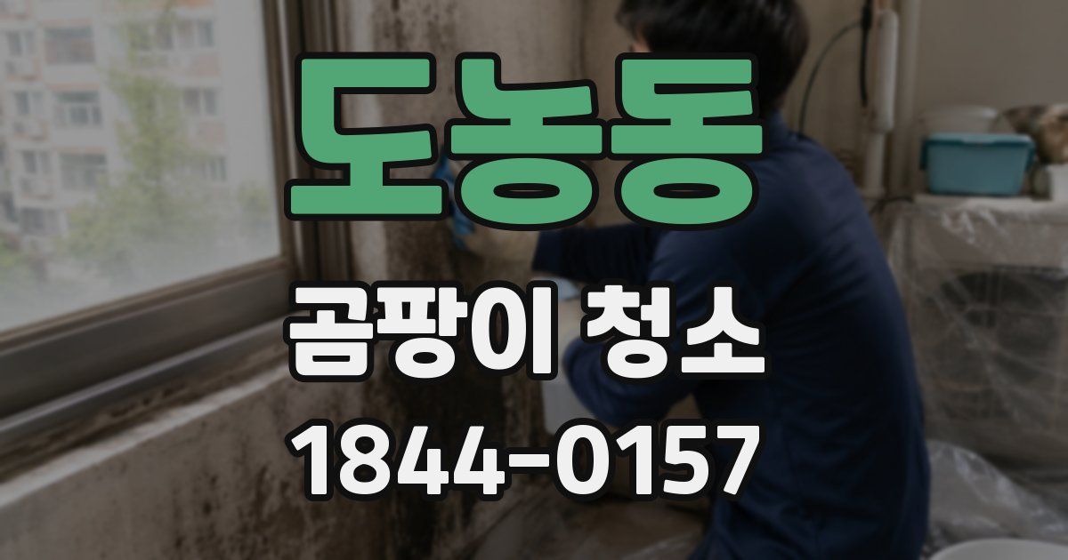 도농동 곰팡이 청소