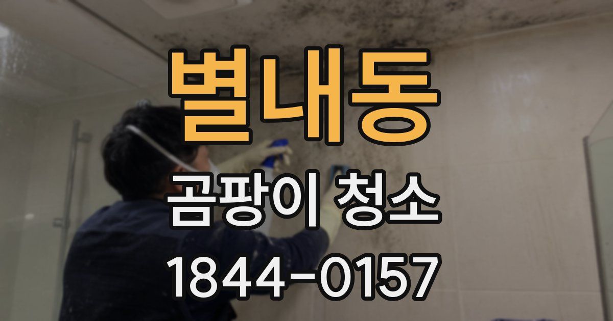 별내동 곰팡이 청소