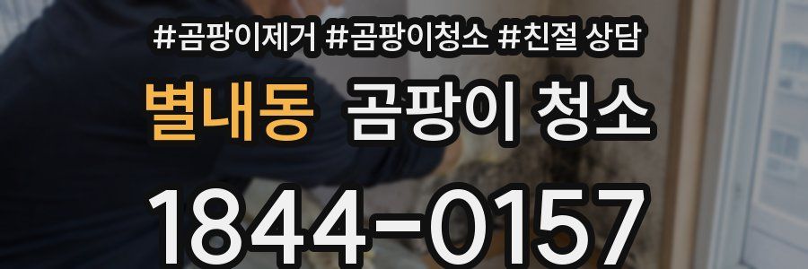 별내동 곰팡이 청소