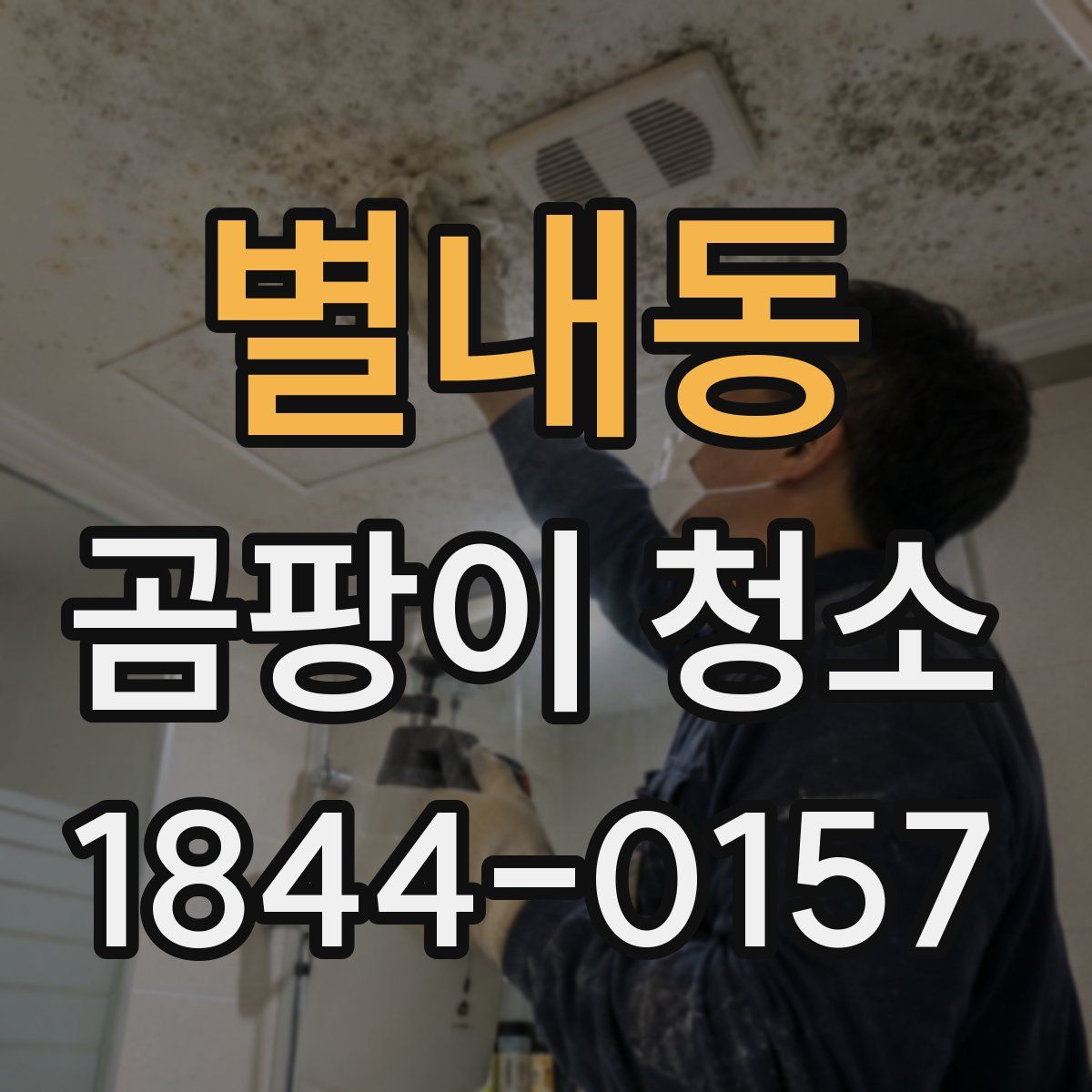 별내동 곰팡이 청소