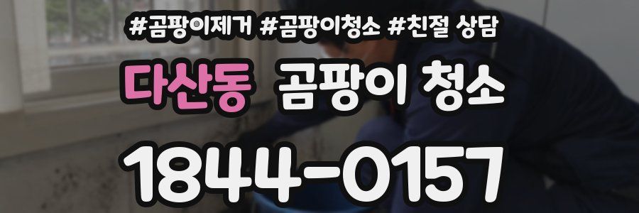 다산동 곰팡이 청소