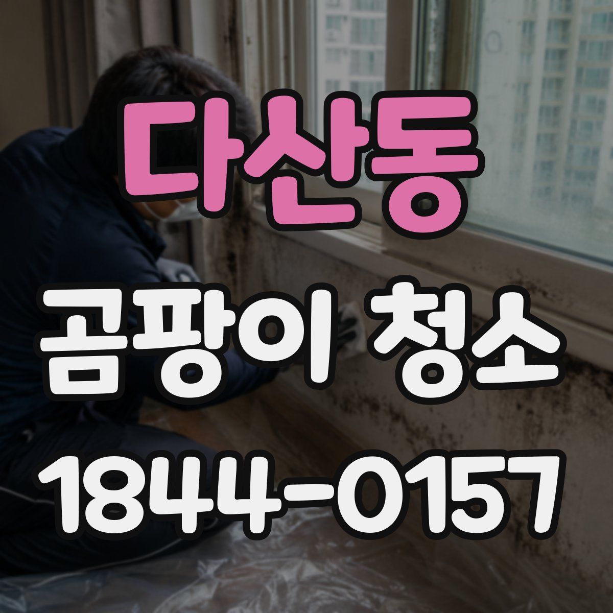 다산동 곰팡이 청소