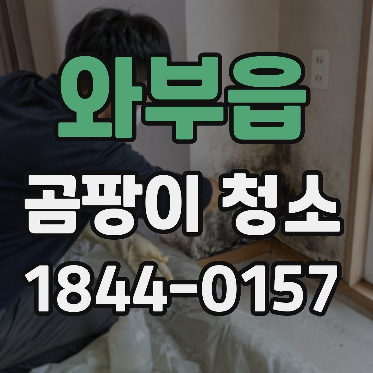 와부읍 곰팡이 청소
