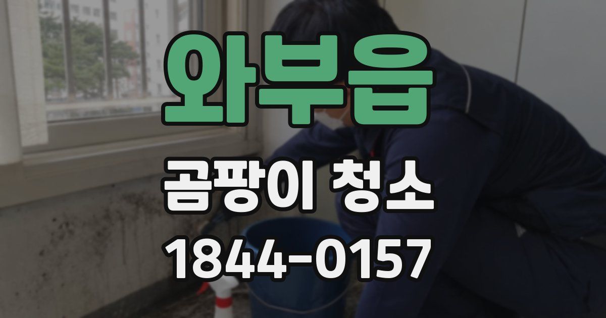 와부읍 곰팡이 청소