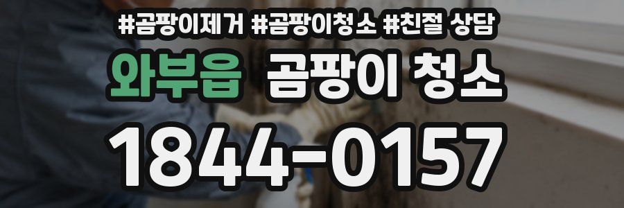 와부읍 곰팡이 청소