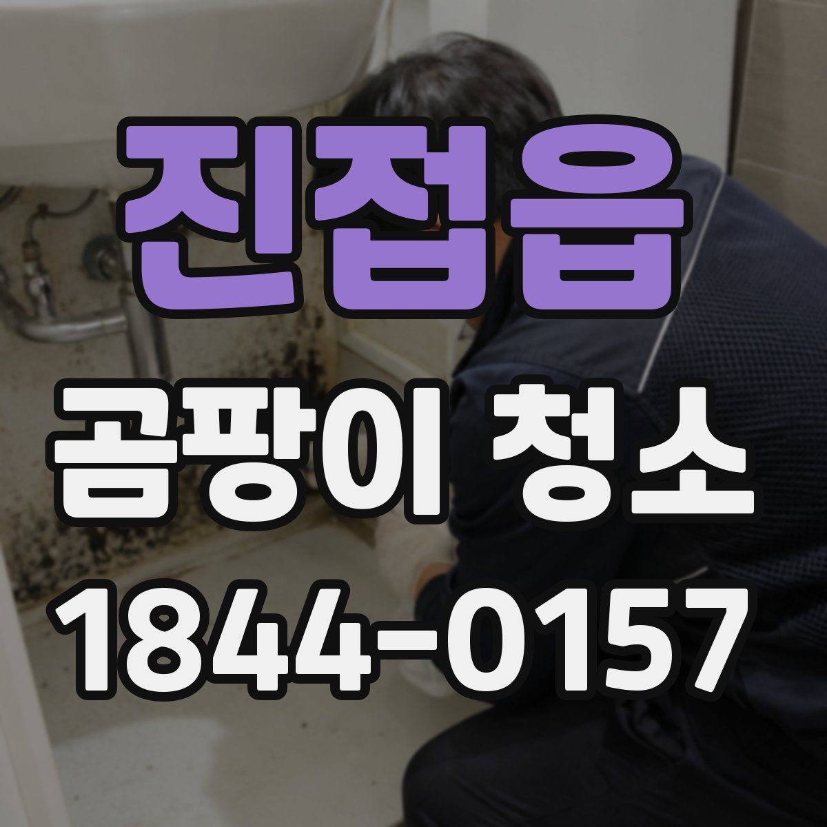진접읍 곰팡이 청소