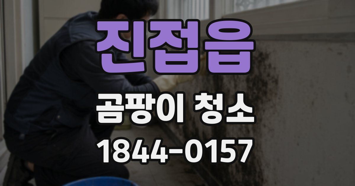 진접읍 곰팡이 청소